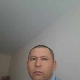 , 41, 