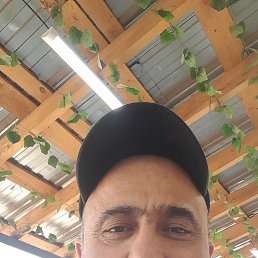 , 44, 
