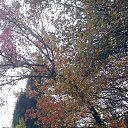 ���� �����, �����, 54 ���� - ��������� 26 ������� 2025 � ������ ������ ��������