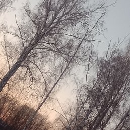 ���� �����, ������, 18 ��� - ��������� 27 ����� 2026