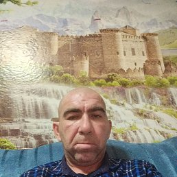 ������, 41 ���, ������-���