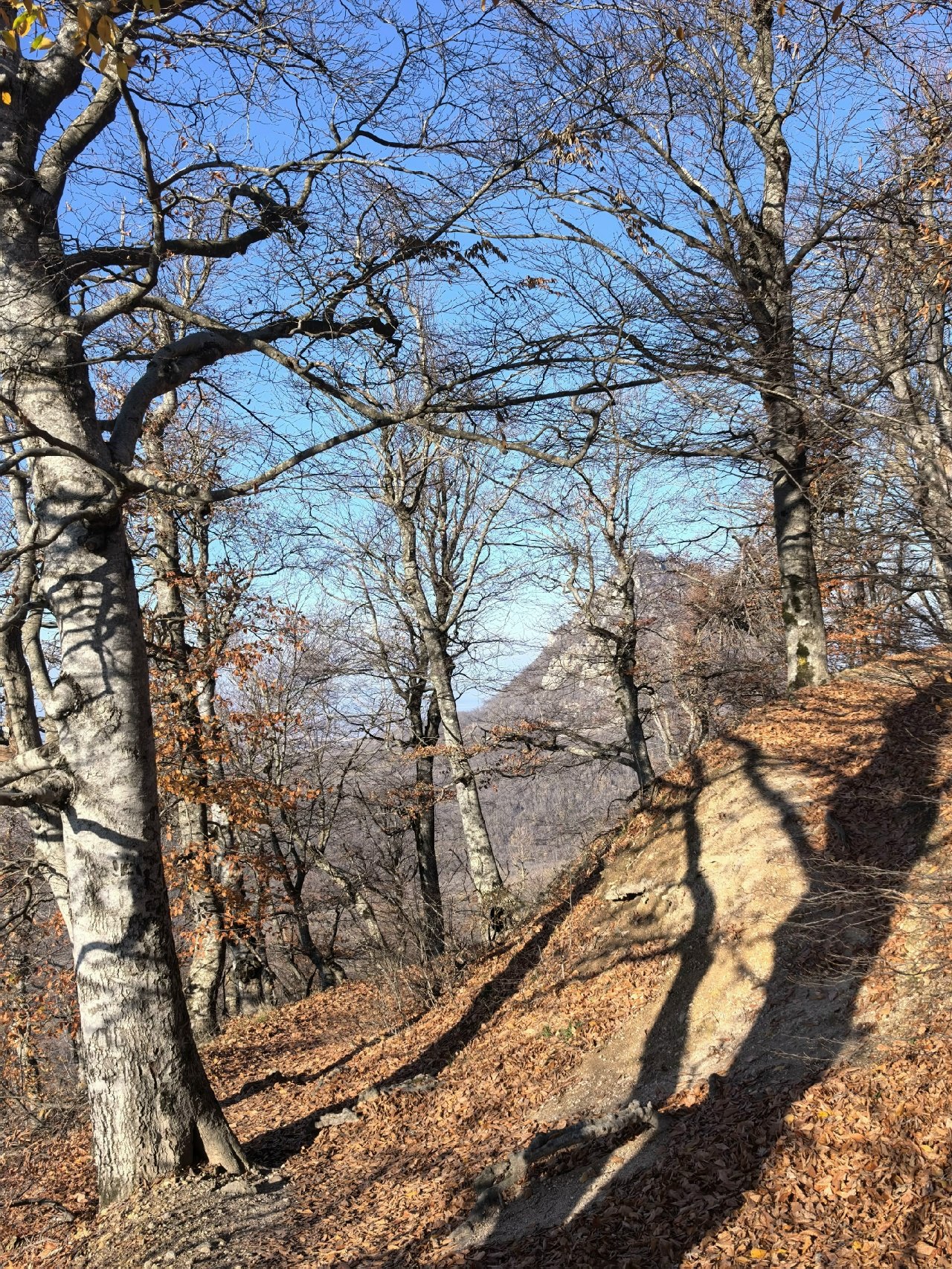   ,            ... - 2