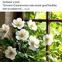 ���� ###�������*****, ������������� - ��������� 12 ��� 2025 � ������ ������ ��������