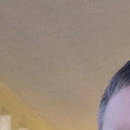 ���������, �����, 41 ���