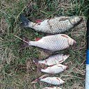 ���� ������, �����, 41 ��� - ��������� 5 ������ 2024 � ������ ���� ����������