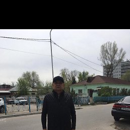 �����, ������, 49 ���