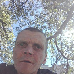 , 49, 