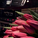 ���� �������, ���������� - ��������� 3 ����� 2025 � ������ ���� ����������
