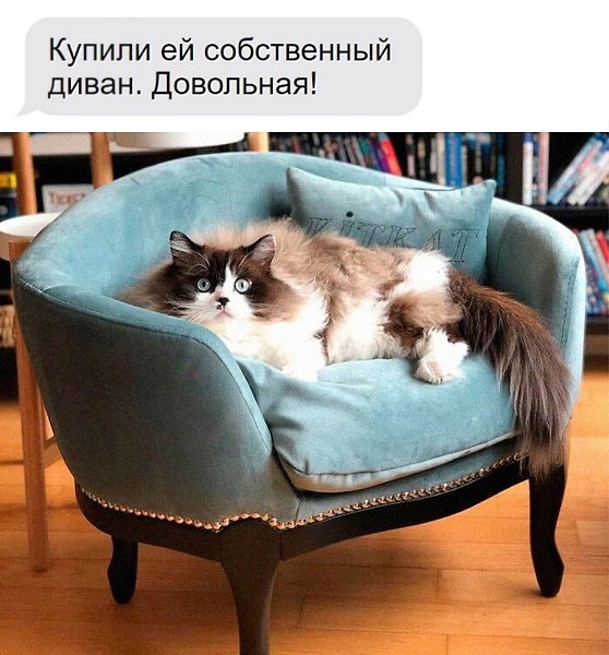    - 21  2025  12:31
