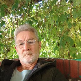 , 59, 