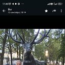  , , 62  -  2  2024