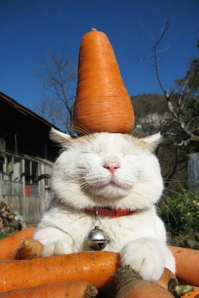        !