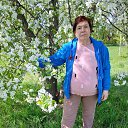 ���� ����, ������, 56 ��� - ��������� 28 ������� 2025 � ������ ���� ����������