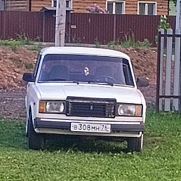 ����� �������, ������, 36 ���