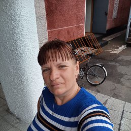 , 40, 