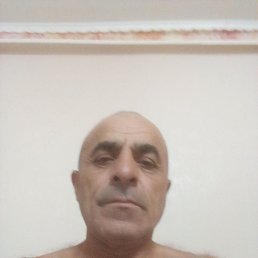 , 56, 