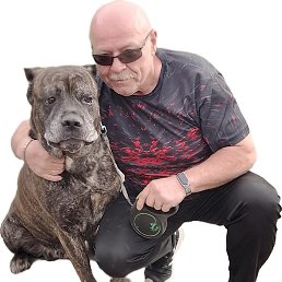 Crazy - Diamond, ������