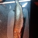 ���� ������, �����-��������� - ��������� 18 ������� 2024 � ������ ������ ��������