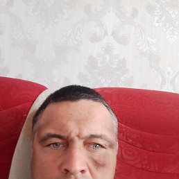 , 41, 