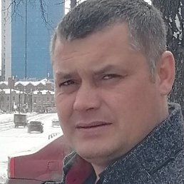 �������, ���������, 40 ���