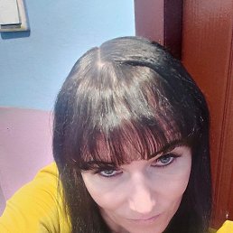 ���� ����, ������, 40 ��� - ��������� 3 ������� 2026