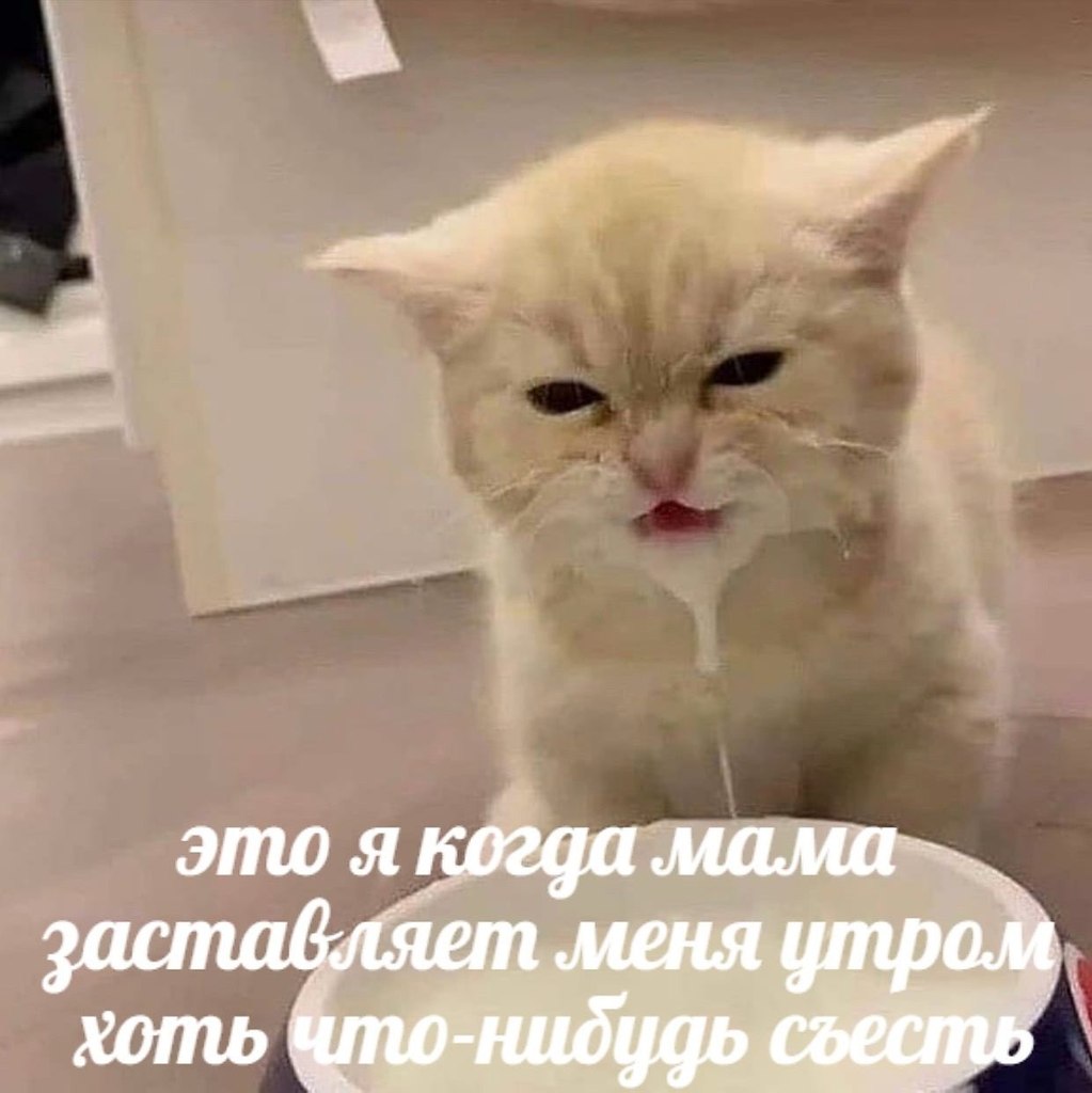    - 30  2024  21:40