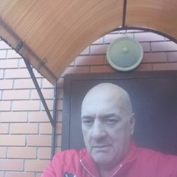 , 56, 