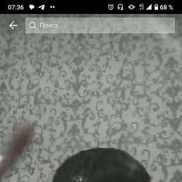 �������, �������, 43 ����