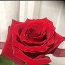 ���� ������, ������������, 48 ��� - ��������� 13 ������ 2024 � ������ ���� ����������