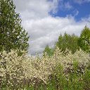���� ������, ����� - ��������� 29 ��� 2025 � ������ ������ ��������