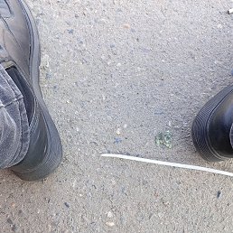 ���, ������, 47 ���