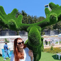 �������, ���������, 54 ����