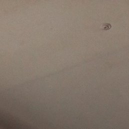 �����, ������, 42 ����