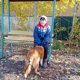 ������ ��������, �����-���������, 64 ����