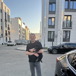 , 46 , 
