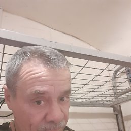 , 53 , 