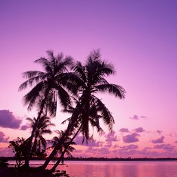 �, ������������, 51 ���