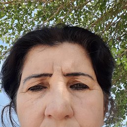 , 57, 