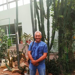 , 60, 