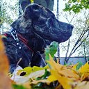 ���� ������, ������ - ��������� 16 ������ 2024 � ������ ���� ����������