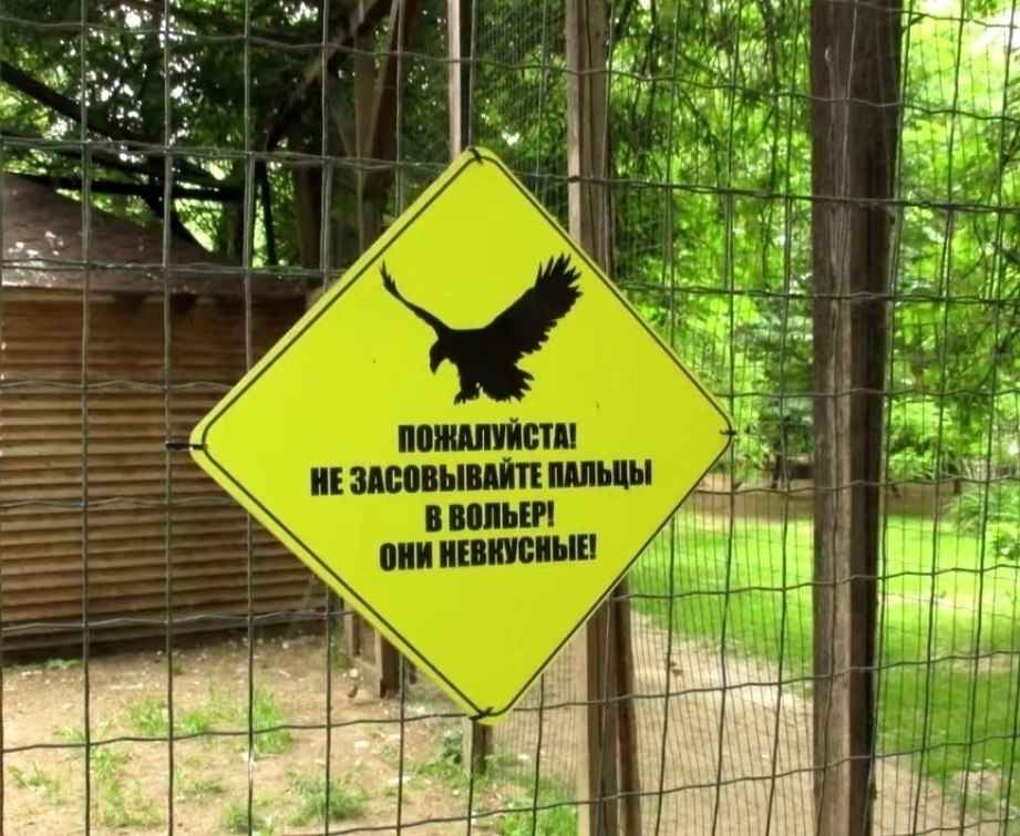 ������� �� ������ - 8