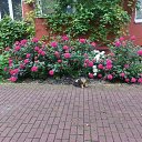 ���� ����, �����������, 64 ���� - ��������� 20 ���� 2025 � ������ ������ ��������