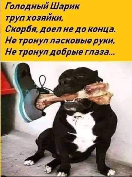   - 15  2024  07:00
