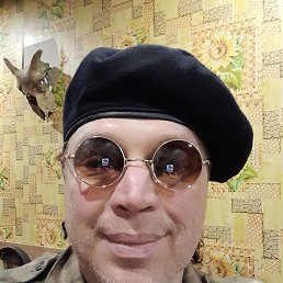 �������, 49 ���, ����