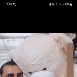 ������, �����������, 51 ���