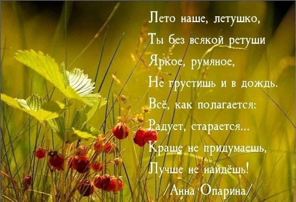   ,    . - 1  2025  07:29