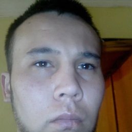 , 33, 
