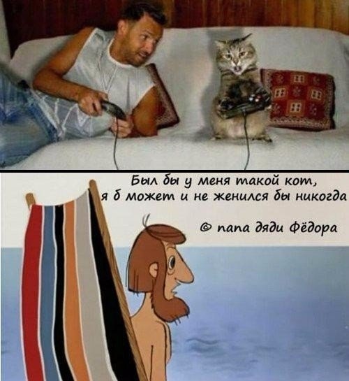 ☆☆☆  XX  ☆☆☆ - 13  2024  16:37