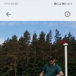 ����, ������, 43 ����