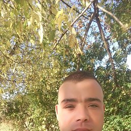 ����, 35 ���, �����